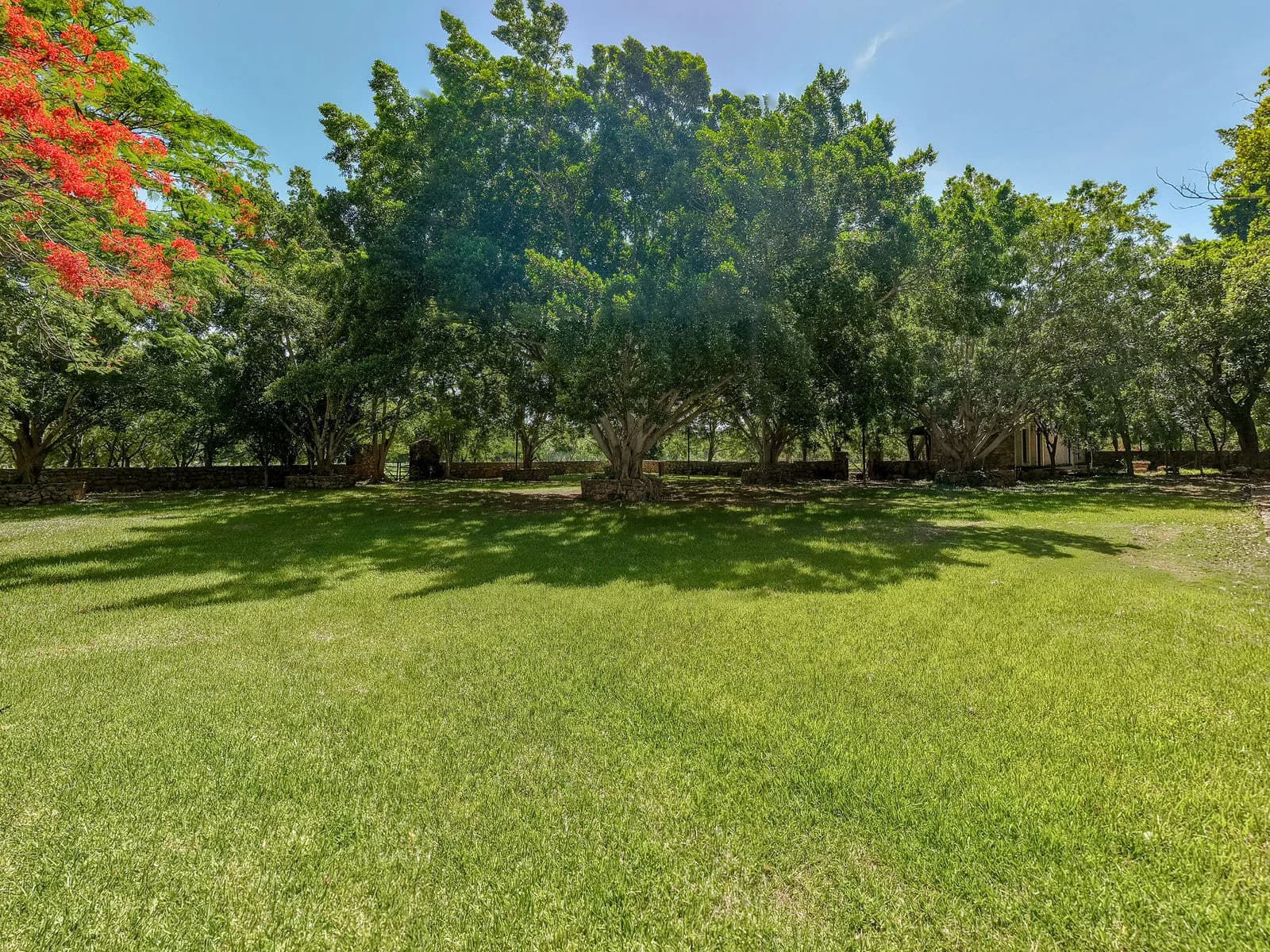 Wide gardens